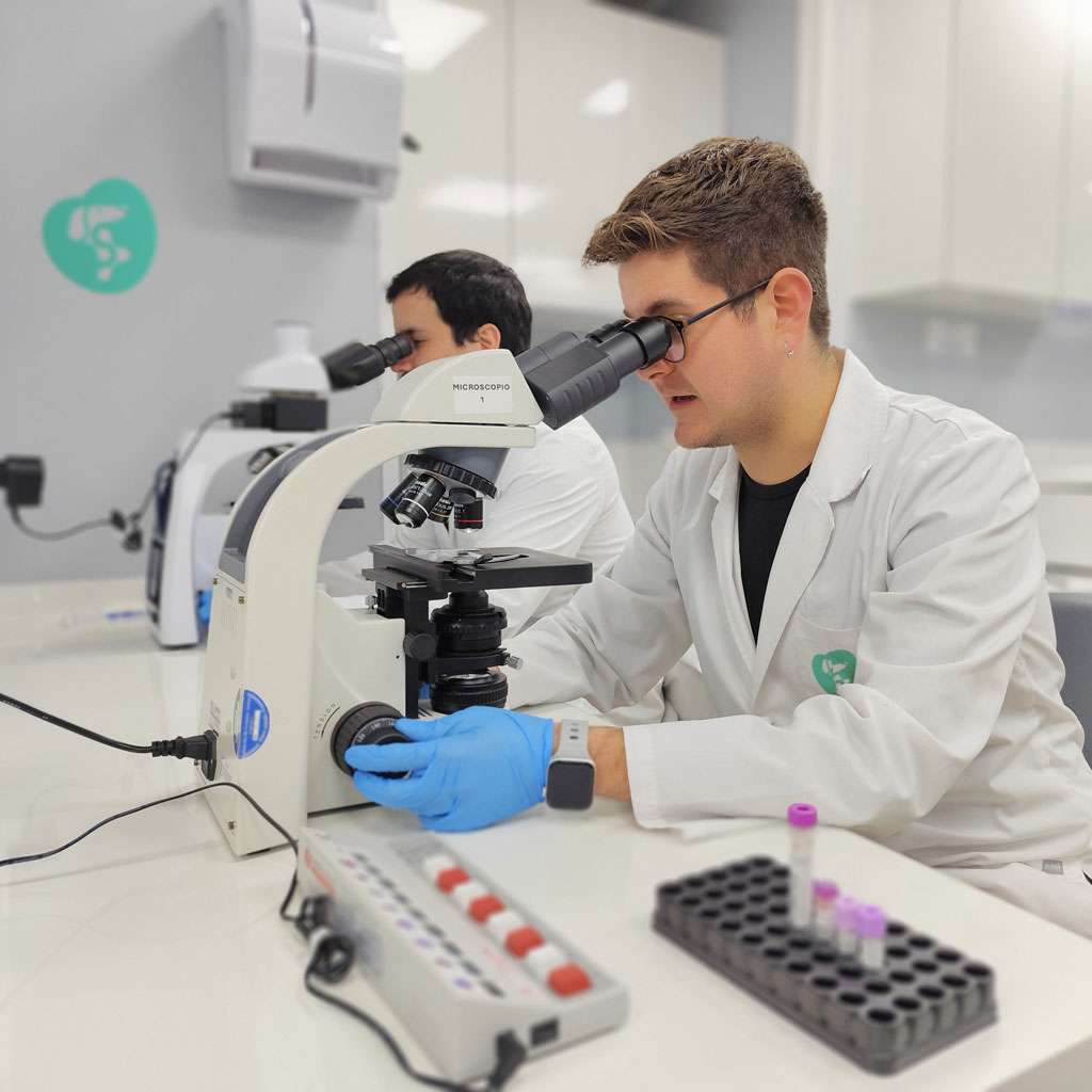 crystal_vet_caballos