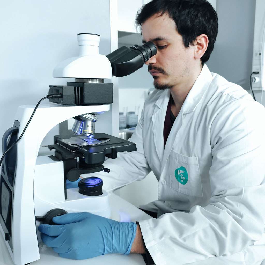 crystalvet_equinos_6