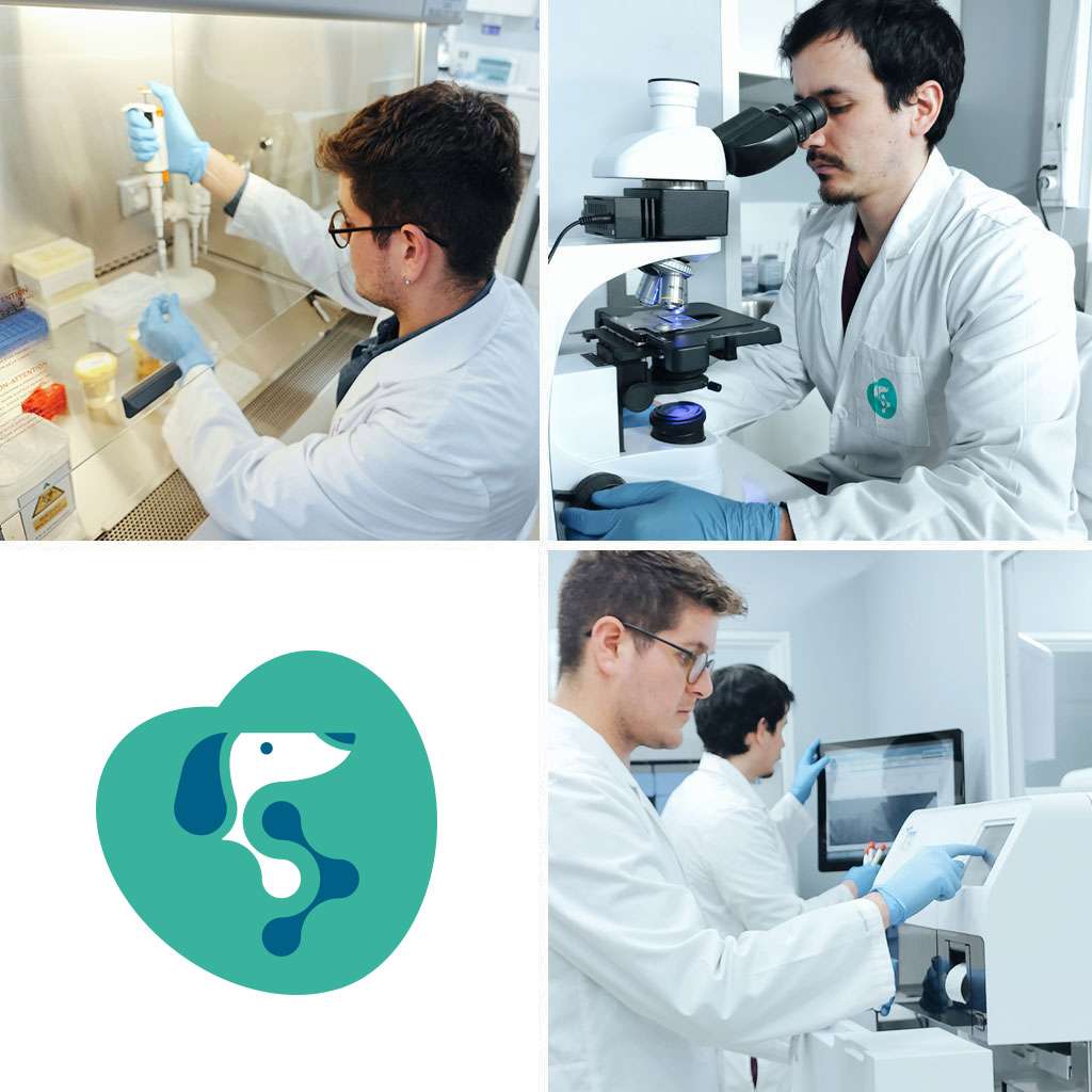 crystalvet_equinos_foto4